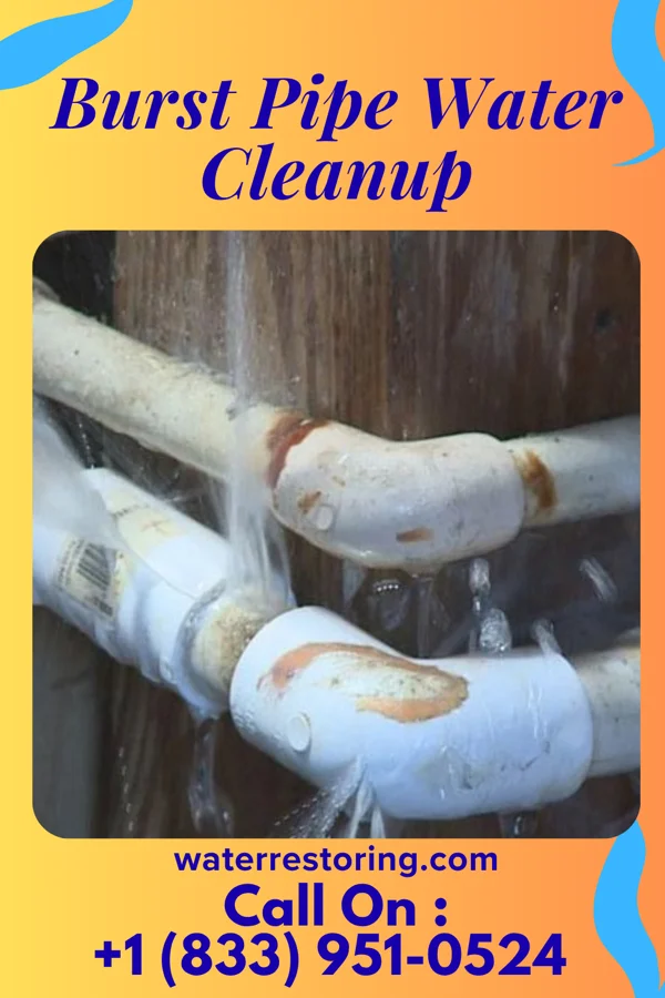 Burst Pipe Water Cleanup in Shadow Lake, WA