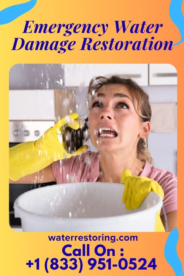 Emergency Water Damage Restoration in Shadow Lake, WA